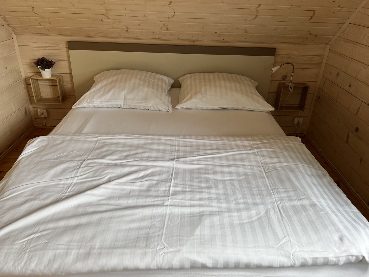 photo_2025-06-27_08-32-16