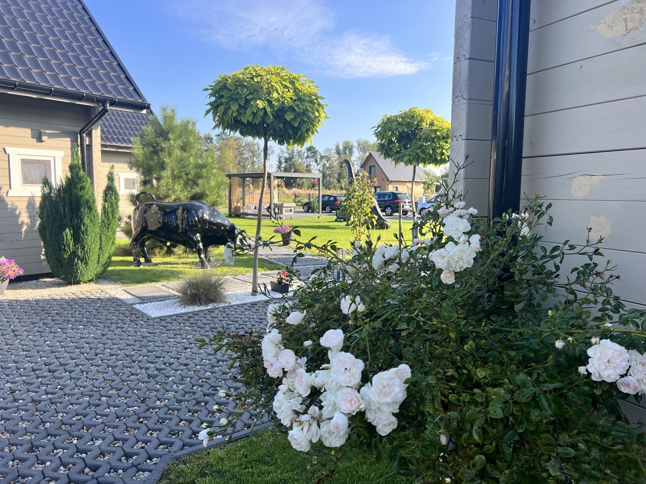 photo_2025-07-05_14-27-07