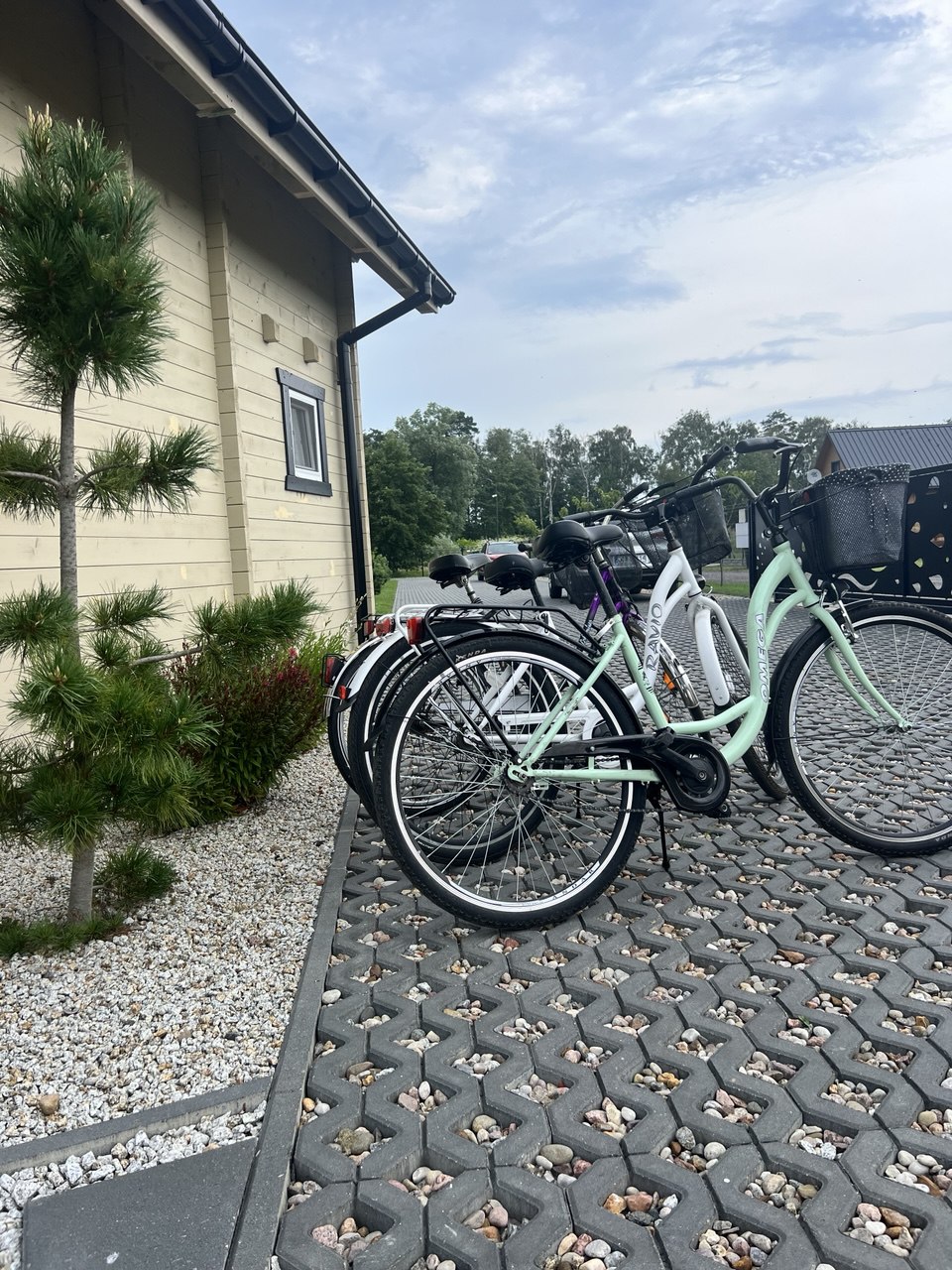 photo_2025-07-05_14-27-08 (4)