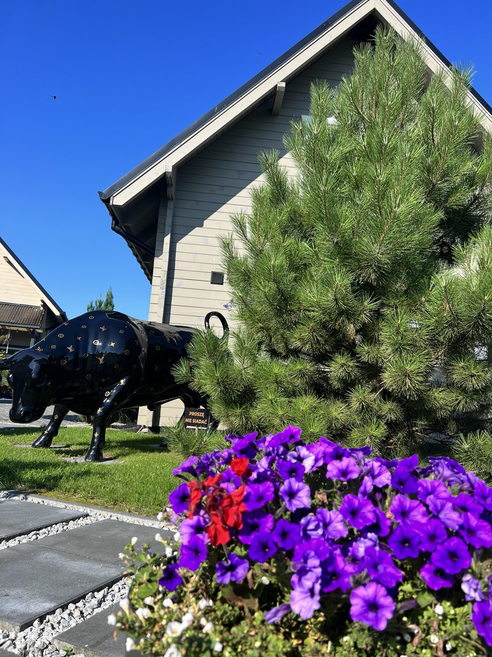 photo_2025-07-05_14-27-09